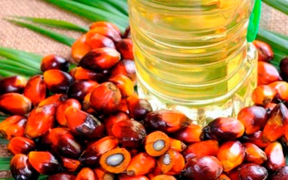 MPOC to help promote palm oil at Dubai Expo 2020
