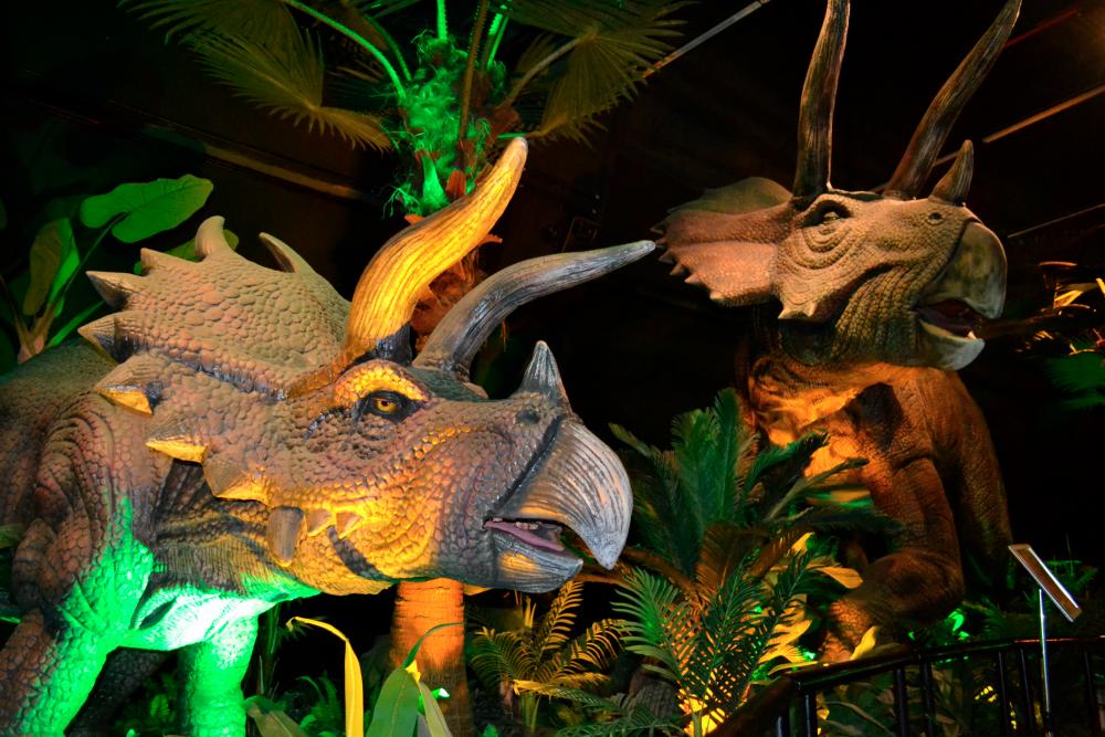 $!The Dinosaur Encounter exhibition, which is also situated on level 2, first opened its doors to the general public on Nov 2, 2019.