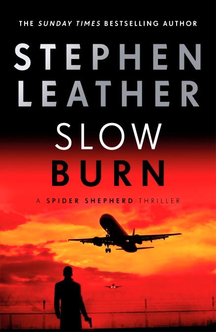 Slow Burn book cover