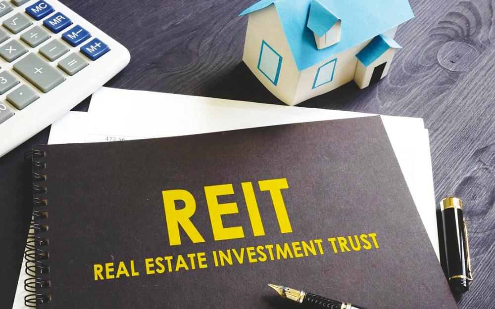 How are individual REIT holders taxed?