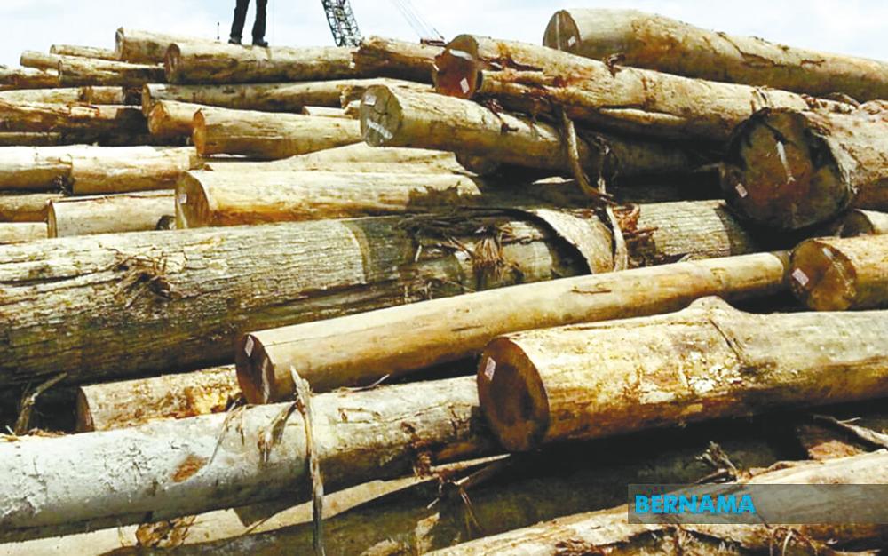 Malaysia has developed a timber export industry that is the envy of its neighbours.