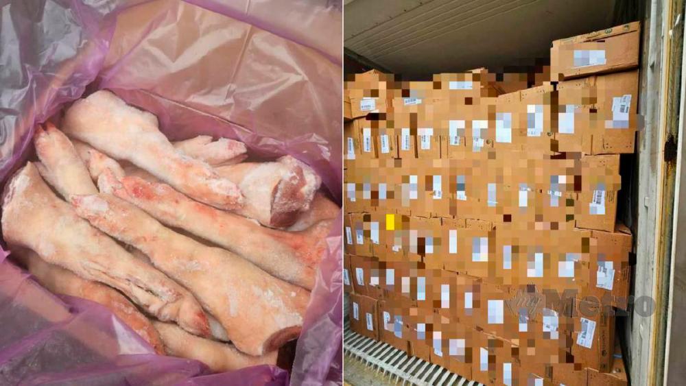 Sebahagian daging babi sejuk beku tanpa permit import yang dirampas. Kredit foto: Ihsan Maqis