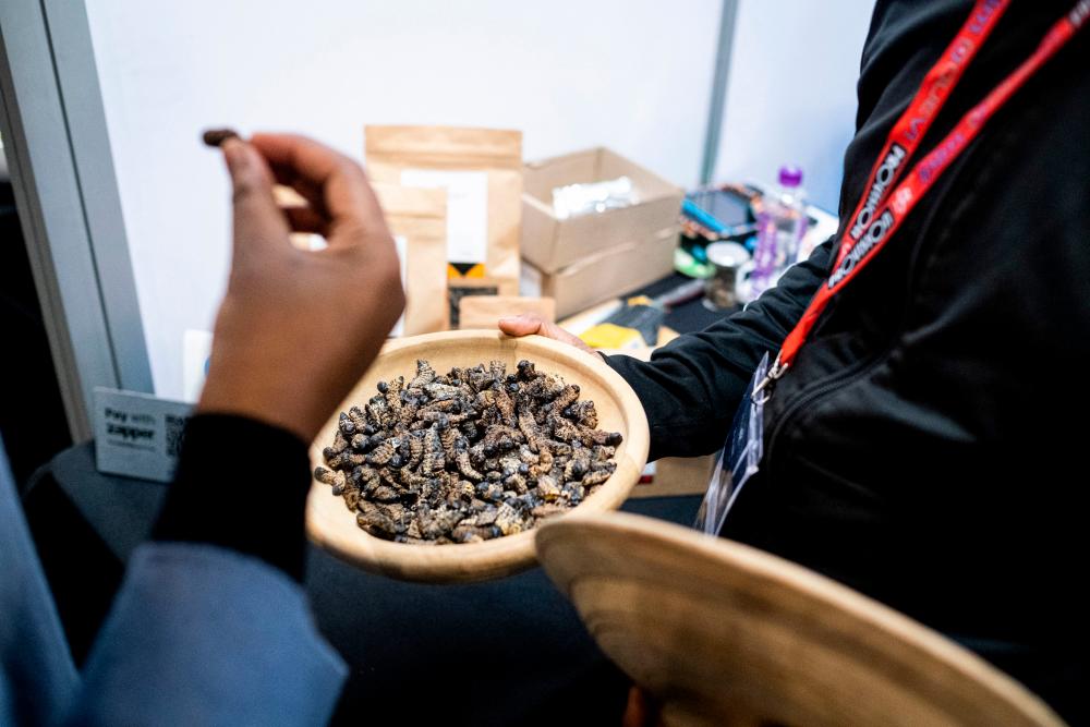 An attendee holds a mopani worm at the Hostex food Expo in Sandton on June 27, 2022. A South African start-up entrepreneur is changing the way people view and eat protein- and iron-packed mopane caterpillars. AFPPIX