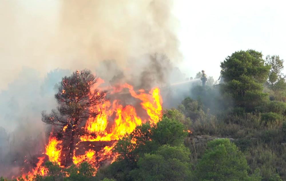 An image grab taken from a video released on June 27, 2019 by the Spanish Emergency Military Unit (UME) shows a firemean trying to extinguish a wildfire near Torre de l´Espanyol in Ribera d´Ebro, on the banks of the river Ebre, northeastern Spain. — AFP