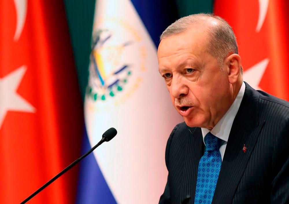 Turkey 'not closing door' to Sweden, Finland NATO entry, Erdogan advisor says