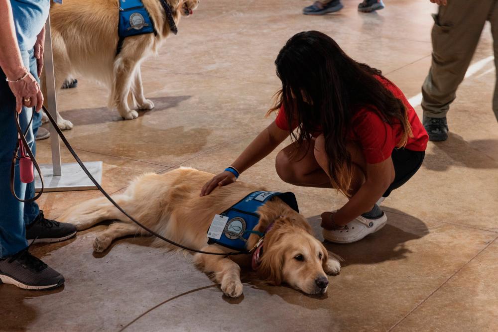 A young girl pets a comfort dog at a vigil for the 21 people killed at Robb Elementary School on May 24, 2022 in Uvalde, Texas. AFPPIX