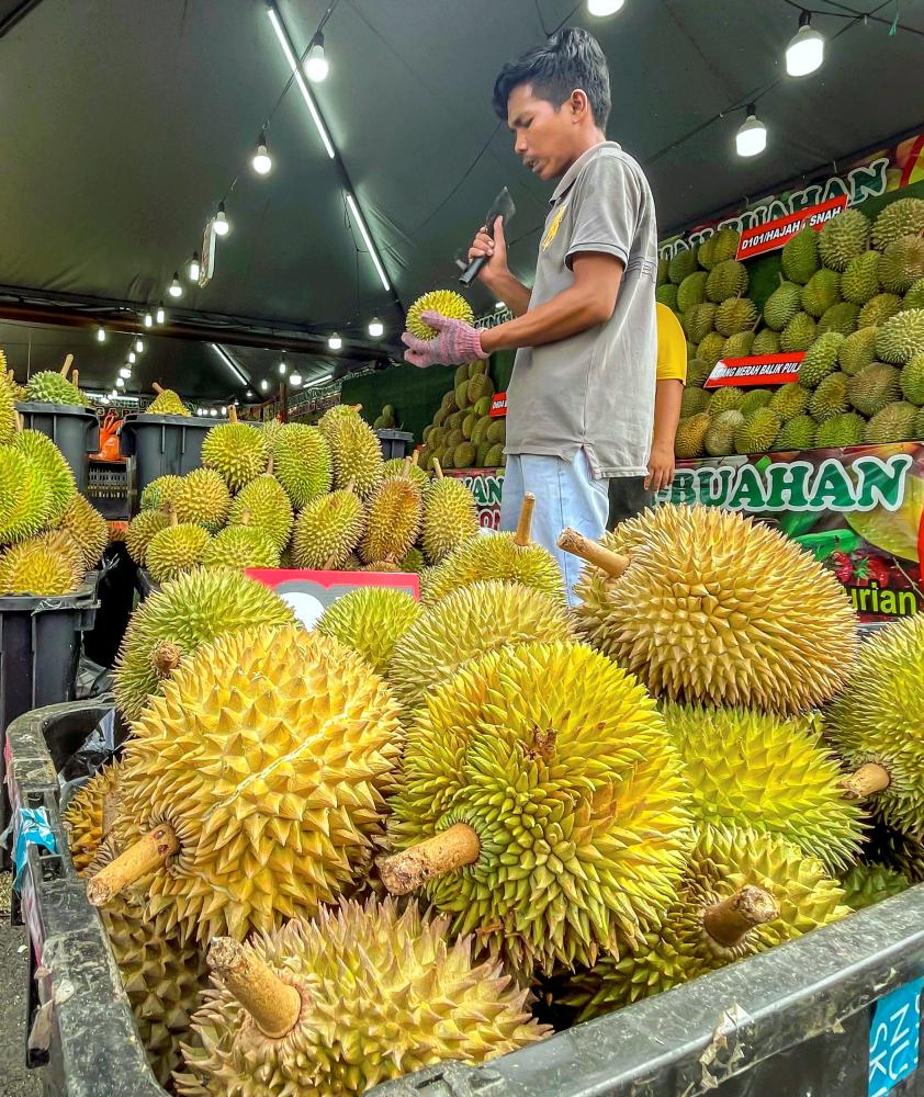 Durian sellers said the certification would burden their businesses. Adib Rawi Yahya/THESUNpix