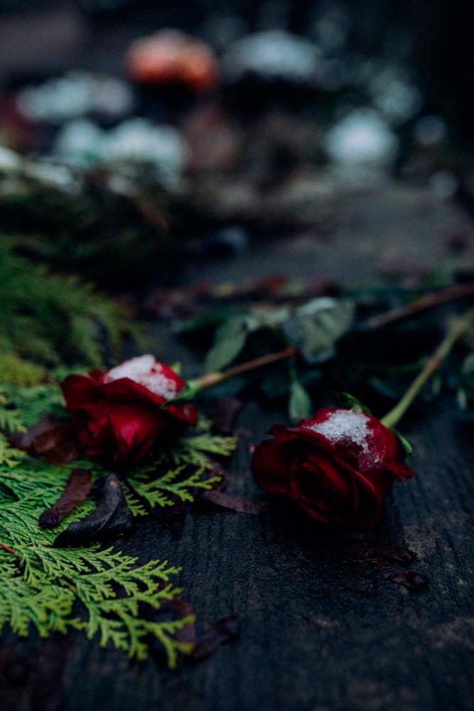 Rest in Peace (Pix for representational purpose only) - Pexels