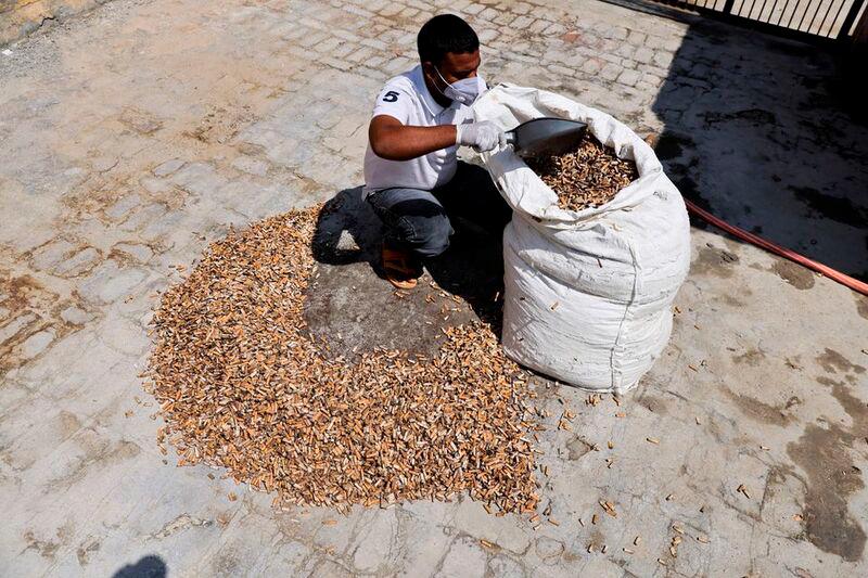 $!A worker scoops cigarette filter tips using a dustpan at a cigarette butts recycling factory in Noida, India September 12, 2022. REUTERSPIX