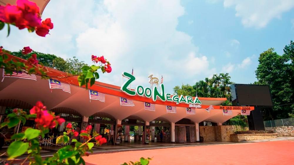 $!Guide to visiting Zoo Negara